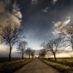 Between Dark and Light