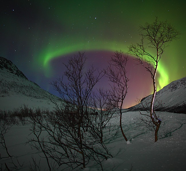 aurora3