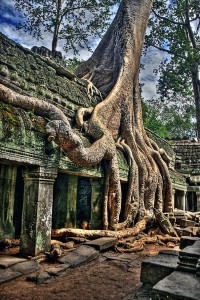 amazing-places-angkor-wat-3