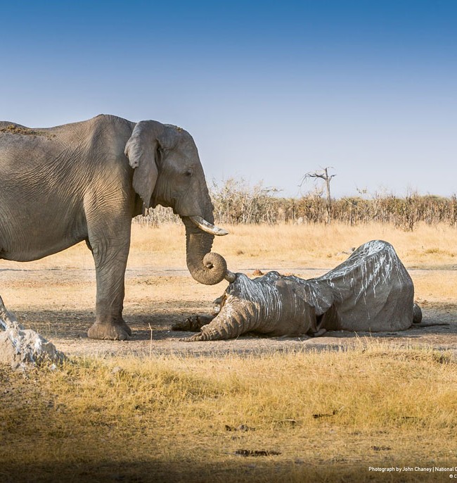 national-geographic-traveler-photo-contest-2012-1