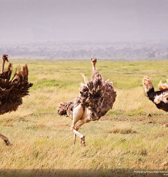national-geographic-traveler-photo-contest-2012-25