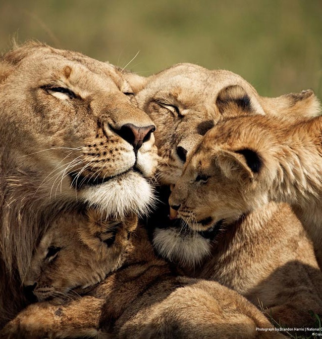 national-geographic-traveler-photo-contest-2012-28