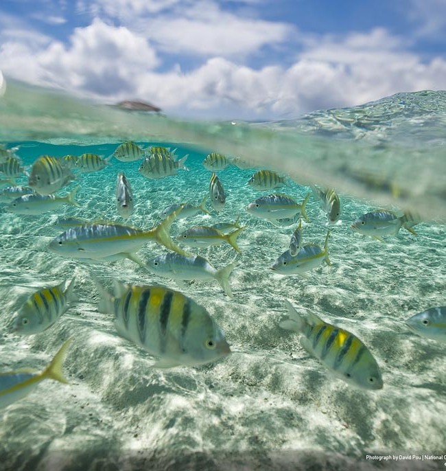 national-geographic-traveler-photo-contest-2012-30